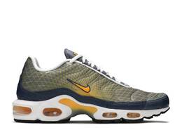 Nike: Серые кроссовки  Air Max Plus