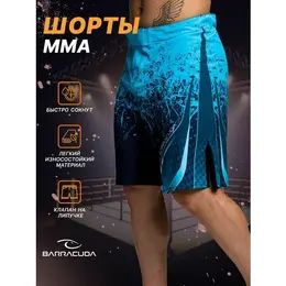 BARRACUDA: Спортивные шорты 