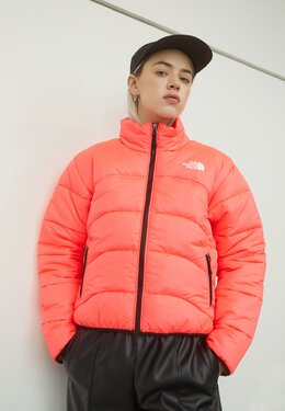 The North Face: Зимний пуховик 