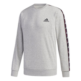 Толстовка Adidas E Tpe Swt Sports Training Round Collar Grey, Серый gd5447 | grey