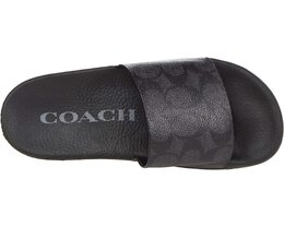 Coach: Серые сандалии 