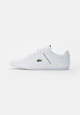 Lacoste: Белые кроссовки  Chaymon