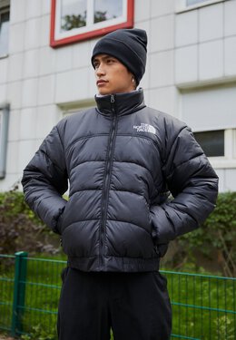 The North Face: Зимний пуховик 