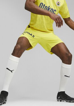 PUMA: Спортивные шорты