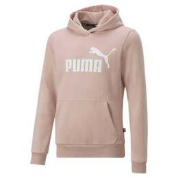 Puma: Свитер Ess с капюшоном