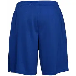 Under Armour: Шорты в сетку 