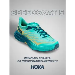 HOKA: Кроссовки 