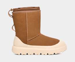 UGG: Коричневые сапоги Classic Short