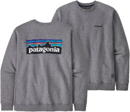 Patagonia: Серая толстовка 