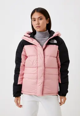 The North Face: Зимний пуховик 