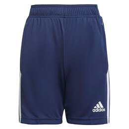 Adidas: Синие шорты  Tiro