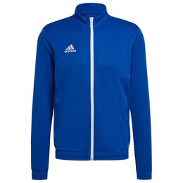 Adidas: Синяя куртка 