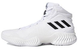 Adidas: Кроссовки 