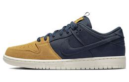 Nike: Рюкзак  SB Dunk Low Pro