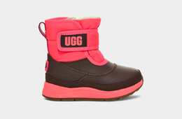 UGG: Сапоги