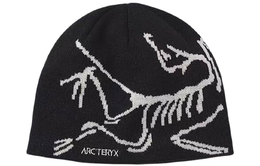 Arcteryx: Чёрная шапка 