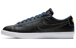 Nike: Кроссовки  SB Bruin