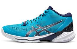 Asics: Кроссовки Sky Elite FF