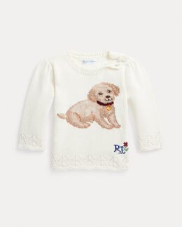 Polo Ralph Lauren: Хлопковый свитер