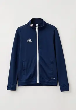 adidas: Синяя толстовка 