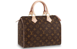 Louis Vuitton: Сумка  Speedy