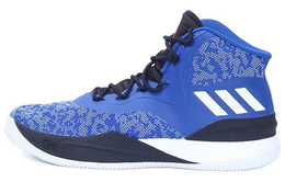 Adidas: Кроссовки  Derrick Rose