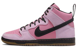 Nike: Фиолетовые кроссовки  SB Dunk High Pro