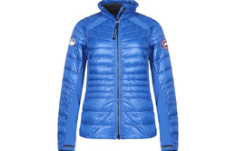 Canada Goose: Синий пуховик 