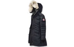 Canada Goose: Тёмный пуховик 