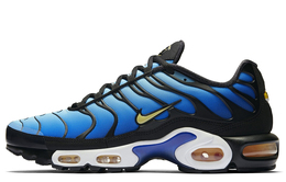 Nike: Кроссовки  Air Max Plus