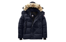 Canada Goose: Тёмный пуховик 