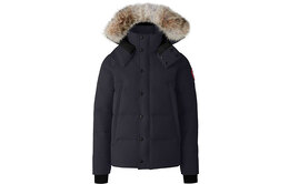 Canada Goose: Тёмный пуховик 