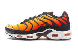 Nike: Кроссовки  Air Max Plus