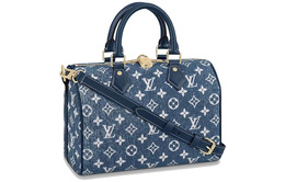 Louis Vuitton: Сумка  Speedy