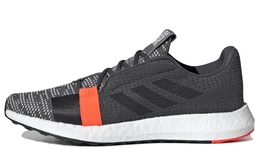 Adidas: Кроссовки 
