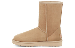 UGG: Ботинки  Classic Short