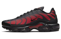 Nike: Кроссовки  Air Max Plus