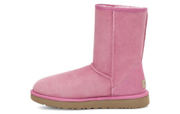 UGG: Сапоги  Classic Short