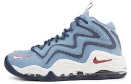 Nike: Кроссовки Air Pippen