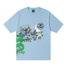 Stussy: Голубая футболка 