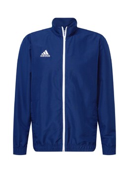 Adidas: Спортивная куртка 