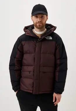 The North Face: Коричневый пуховик 