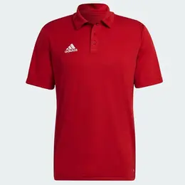 adidas: Спортивное поло 