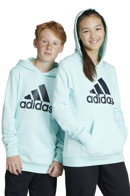 Adidas: Толстовка с капюшоном 