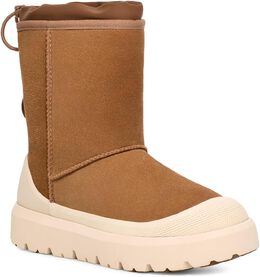 UGG: Сапоги Classic Short