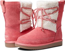 UGG: Сапоги