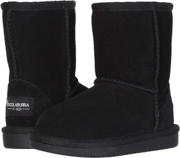 UGG: Сапоги 