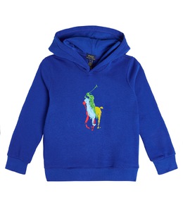 Polo Ralph Lauren Kids: Синяя толстовка 