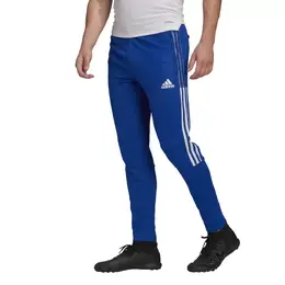 Adidas: Спортивные брюки  Training