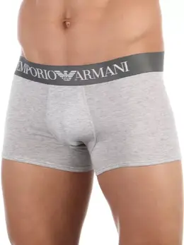 Emporio Armani: Серые трусы 